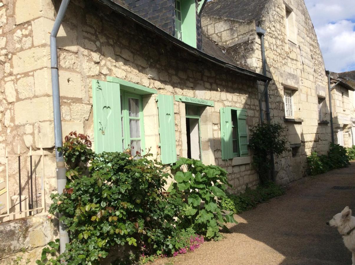 Villa Les hauts peupliers à Candes-Saint-Martin Extérieur photo